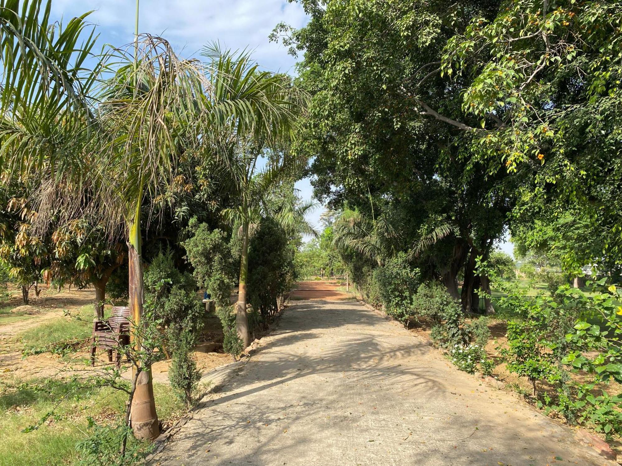 Orchard At Sarai Villa Gurgaon Esterno foto